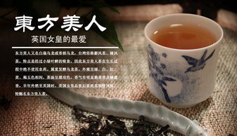 價格 廠家 中國供應(yīng)商