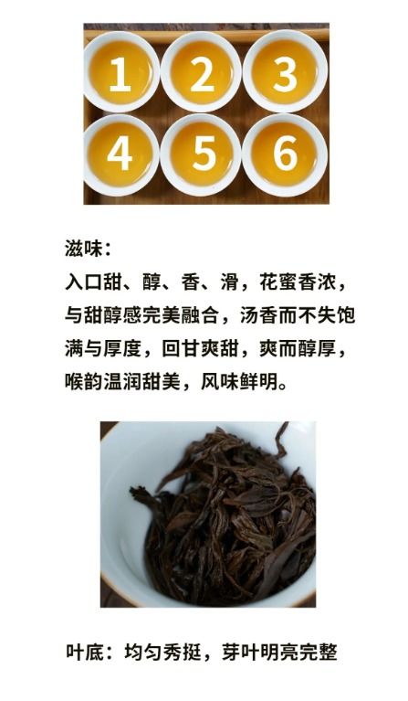 一球茶業(yè)2023真紅