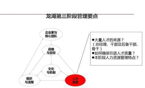 龍湖企業(yè)管理與運營精細(xì)化管理的信息咨詢服務(wù)